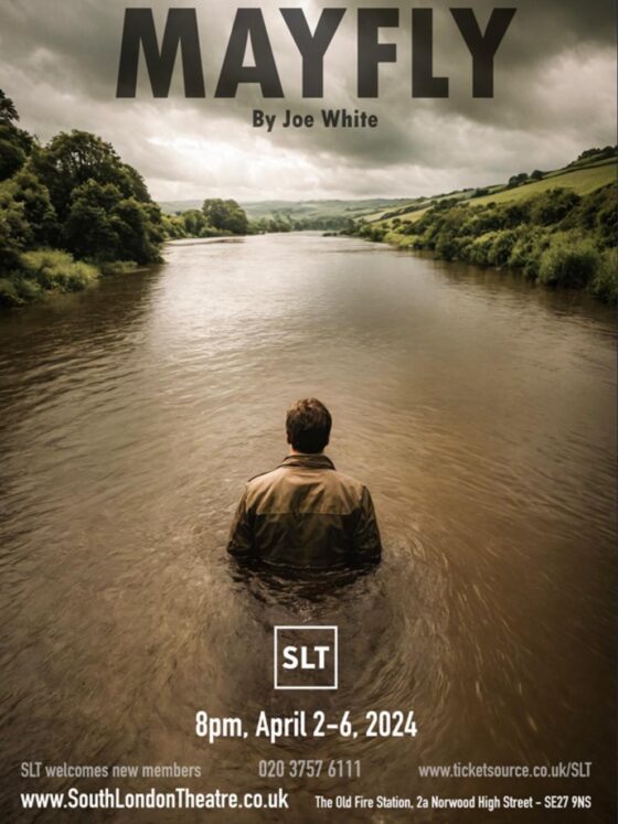 Movie: Mayfly